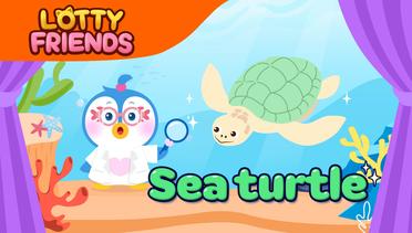 The Sea turtle