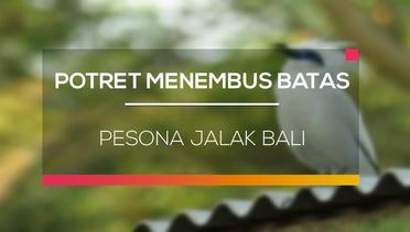 Pesona Jalak Bali - Potret Menembus Batas