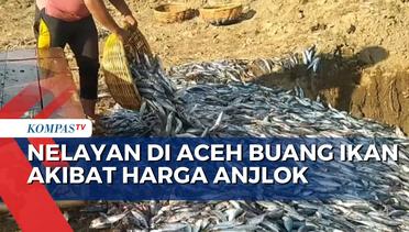 Harga Jual Anjlok, Nelayan Terpaksa Buang Ikan Tangkapan