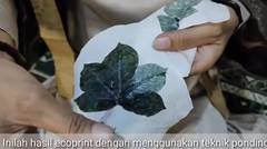 Pembuatan Motif Ecoprint di Cirebon Ramai Pesanan