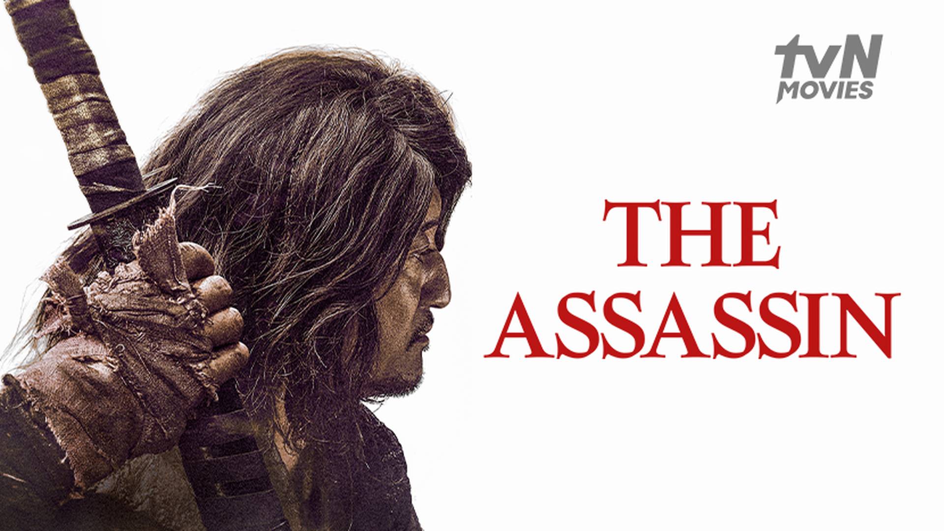 The Assassin
