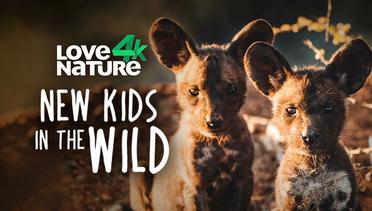 New Kids In The Wild - Love Nature 4K