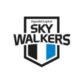 Hyundai Skywalkers