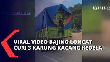 Meresahkan, Polisi Akhirnya Tangkap Pelaku Bajing Loncat di Bandar Lampung!