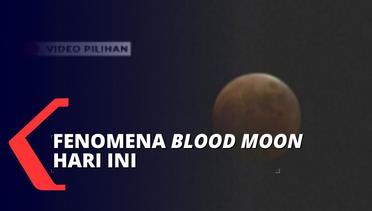 Fenomena Blood Moon Mulai Terlihat dari Wilayah Ini!