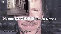 10 Fakta Chuck Norris