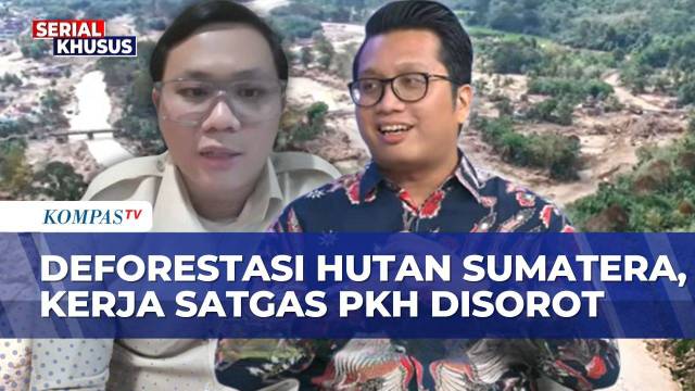 Deforestasi Hutan Sumatera, Sejauh Mana Transparansi Satgas PKH? Begini Kritik ICEL & Respons Istana