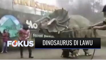 Viral Video Hewan Purba Mirip Dinosaurus Mengamuk di Magetan | Fokus