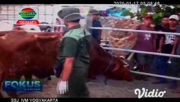 Antisipasi Wabah Antrax, Pemkab Bantul Pemeriksaan Ternak Di Pasar Hewan.