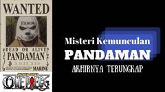 Misteri Kemunculan PANDAMAN Akhirnya Terungkap | ONE PIECE