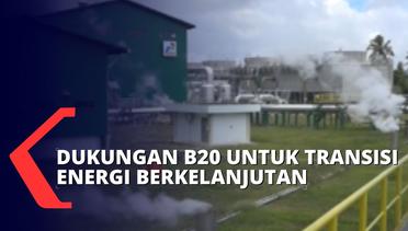 Dukungan B20 untuk Transisi Energi Berkelanjutan, Ini Kebijakan yang Diusulkan Indonesia!
