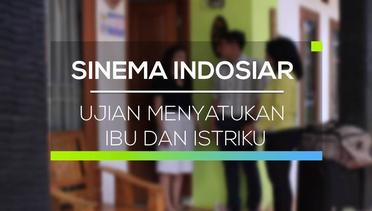 Sinema Indosiar - Ujian Menyatukan Ibu dan Istriku