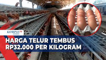 Harga Telur Ayam di Blitar Tembus Rp32.000 Per Kilogram