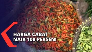 Naik 100 Persen, Konsumen dan Pedagang Keluhkan Harga Cabai Rawit Merah dan Jenis Lainnya!