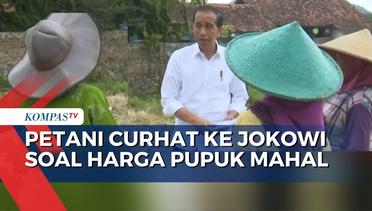 Begini Cara Para Petani Padi Curhat ke Jokowi Soal Pupuk Mahal