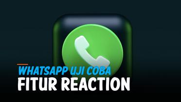 WhatsApp Uji Coba Fitur Reaction, Kapan Dirilis?