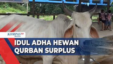 Sumatera Utara Surplus Hewan Qurban