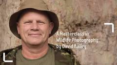 Wildlife Photography Masterclass - We are David Bailey -  Samsung