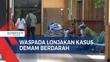 Pasien Demam Berdarah di RSSA Malang Melonjak, 2 Anak Meninggal