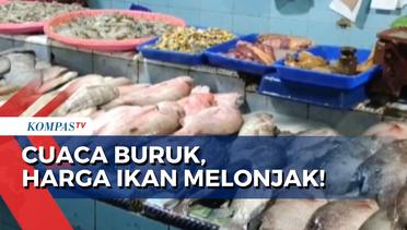 Nelayan Tak Bisa Melaut Akibat Cuaca Ekstrem, Harga Ikan Melonjak di Pasaran!