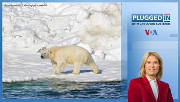 Climate Change- Can We Save the Planet- Plugged In with Greta Van Susteren