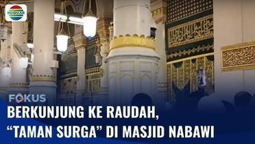 Berkunjung ke “Taman Surga” di Masjid Nabawi, Diyakini Jadi Tempat Terkabulnya Doa | Fokus