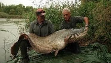 Discovery Channel - River Monster 