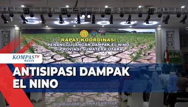 Kementerian Pertanian Lakukan Antisipasi Dampak El Nino di Indonesia