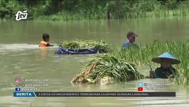 Bengawan Solo Mudal Atusan Hektar Sawah Kerendem Banjir - POJOK KAMPUNG
