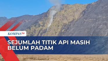Update Kebakaran Bukit Teletubbies Bromo: 1 Orang Resmi jadi Tersangka, 5 Berstatus Saksi