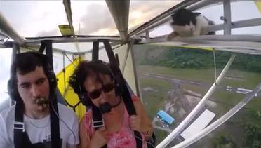 Kucing Ini Menumpang Terbang di Sayap Pesawat Terbang Ringan