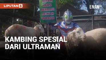 Ultraman Bagi-bagi Kambing di Solo