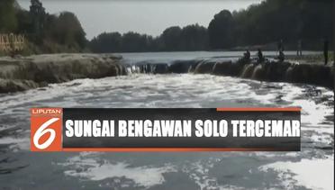 Air Sungai Bengawan Solo di Blora Tercemar - Liputan 6 Terkini 