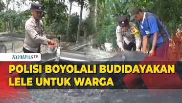 Bhabinkamtibmas Budidayakan Lele untuk Warga Desa di Boyolali