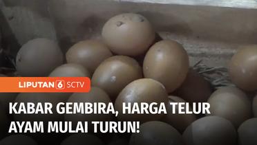 Harga Telur Ayam di Semarang Mulai Turun, Rp25.000 Per Kilogram | Liputan 6