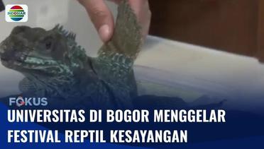 Universitas di Bogor Gelar Festival Reptil untuk Edukasi Masyarakat | Fokus