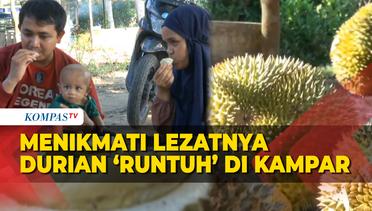 Menikmati Lezatnya Varian Durian Runtuh di Kabupaten Kampar