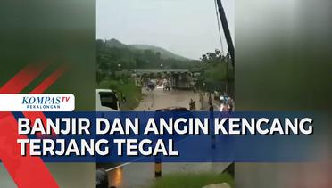 Banjir Parah di Tegal, Kendaraan Mogok dan Pohon Tumbang