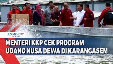 Menteri KKP Cek Program Udang Nusa Dewa Di Karangasem