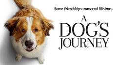 A DOG'S JOURNEY - Official Trailer | 24 Juli 2019 di Bioskop