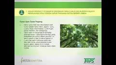 Bag 11 | Berkah Investasi Pohon Jabon Syariah di PT. Global Agro Bisnis