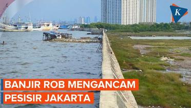 Waspada! 9 Wilayah Pesisir Jakarta Berpotensi Banjir Rob pada 6-13 Desember 2022
