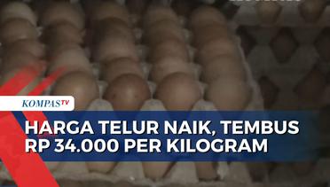 Harga Telur di Purwakarta Naik, Pedagang Keluhkan Omzet yang Merosot!
