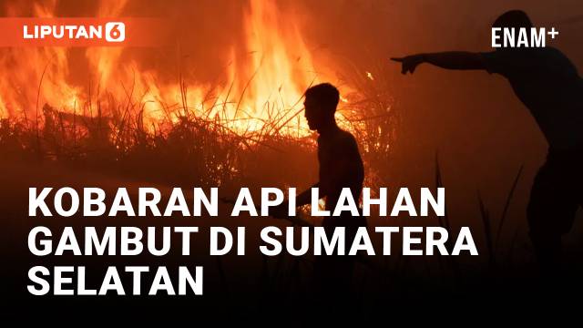 Kobaran Api Lahan Gambut di Ogan Ilir Sumatera Selatan Mulai Menjalar ke Perkebunan Warga
