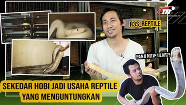 Tips n Trik Sukses Memulai Usaha dan Budidaya Reptile Bareng R3S_Reptile | Entrepreneurship