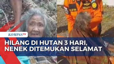 Nenek 74 Tahun Ditemukan Selamat Usai Hilang 3 Hari di Hutan