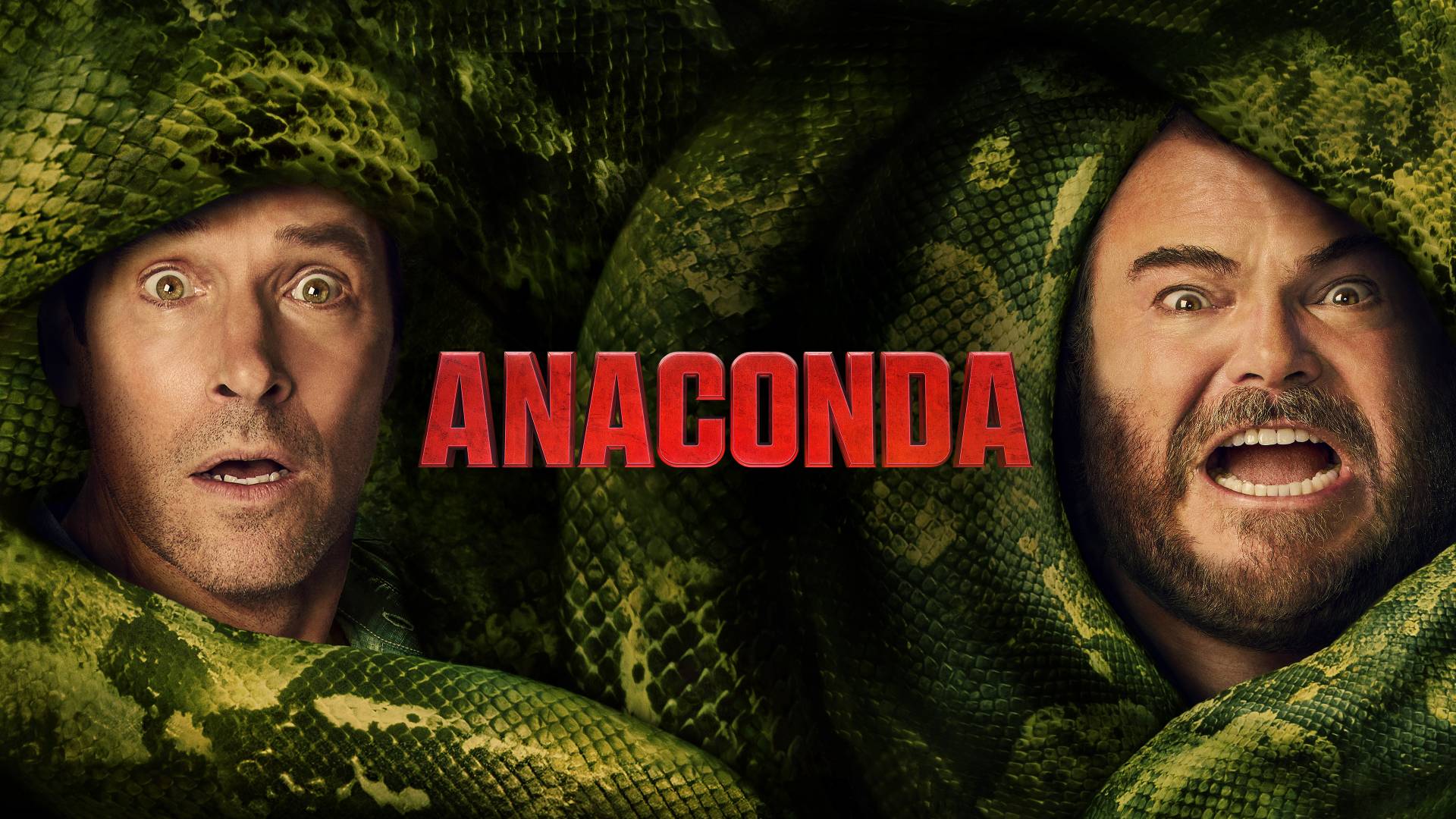Anaconda