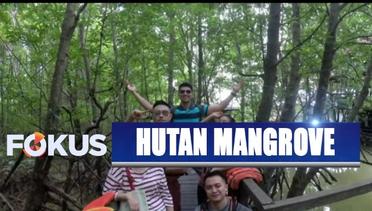 Potensi Wisata Hutan Mangrove di Kalimantan Timur - Fokus Pagi