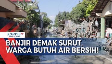 Banjir Demak Surut, Warga Kembali ke Rumah, Butuh Air Bersih!