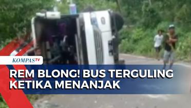 Karena Rem Blong, Bus Wisata Berisi Puluhan Korban Tak Kuat Menanjak dan Terbalik!